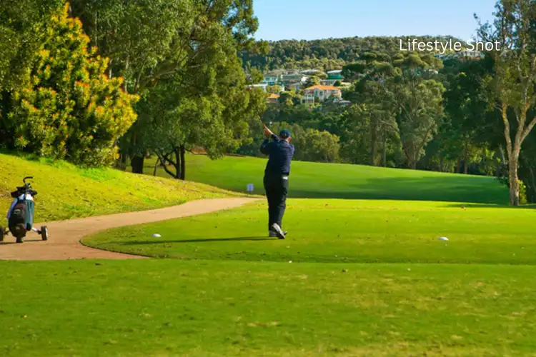 Sixth view of Homely house listing, 211 Alfred Street, Cromer NSW 2099