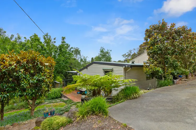 Main view of Homely house listing, 17 Old Forest Road, The Basin VIC 3154