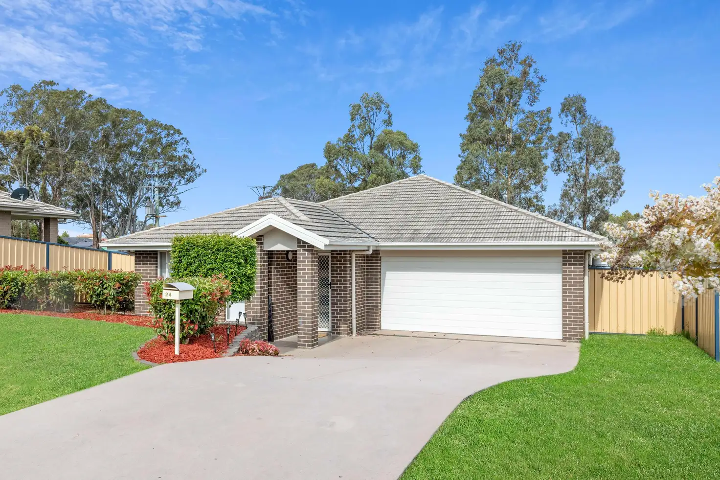 Main view of Homely house listing, 24 Tempranillo Crescent, Cessnock NSW 2325
