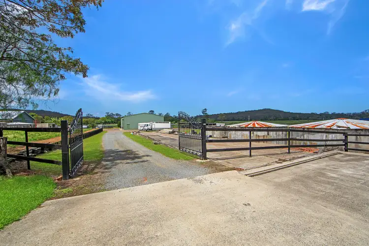 Second view of Homely rural property listing, 315 Jilliby Road, Jilliby NSW 2259