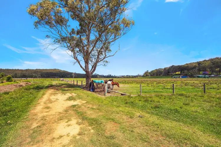 Third view of Homely rural property listing, 315 Jilliby Road, Jilliby NSW 2259