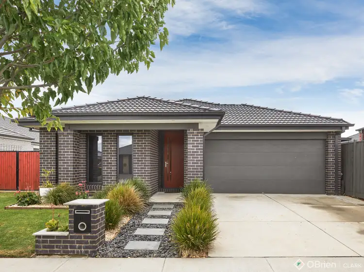 19 Cinnamon Street, Drouin VIC 3818