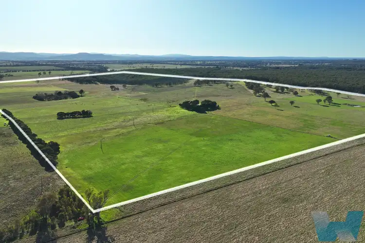 Main view of Homely rural property listing, 175 Robbins Road, Lindenow South VIC 3875