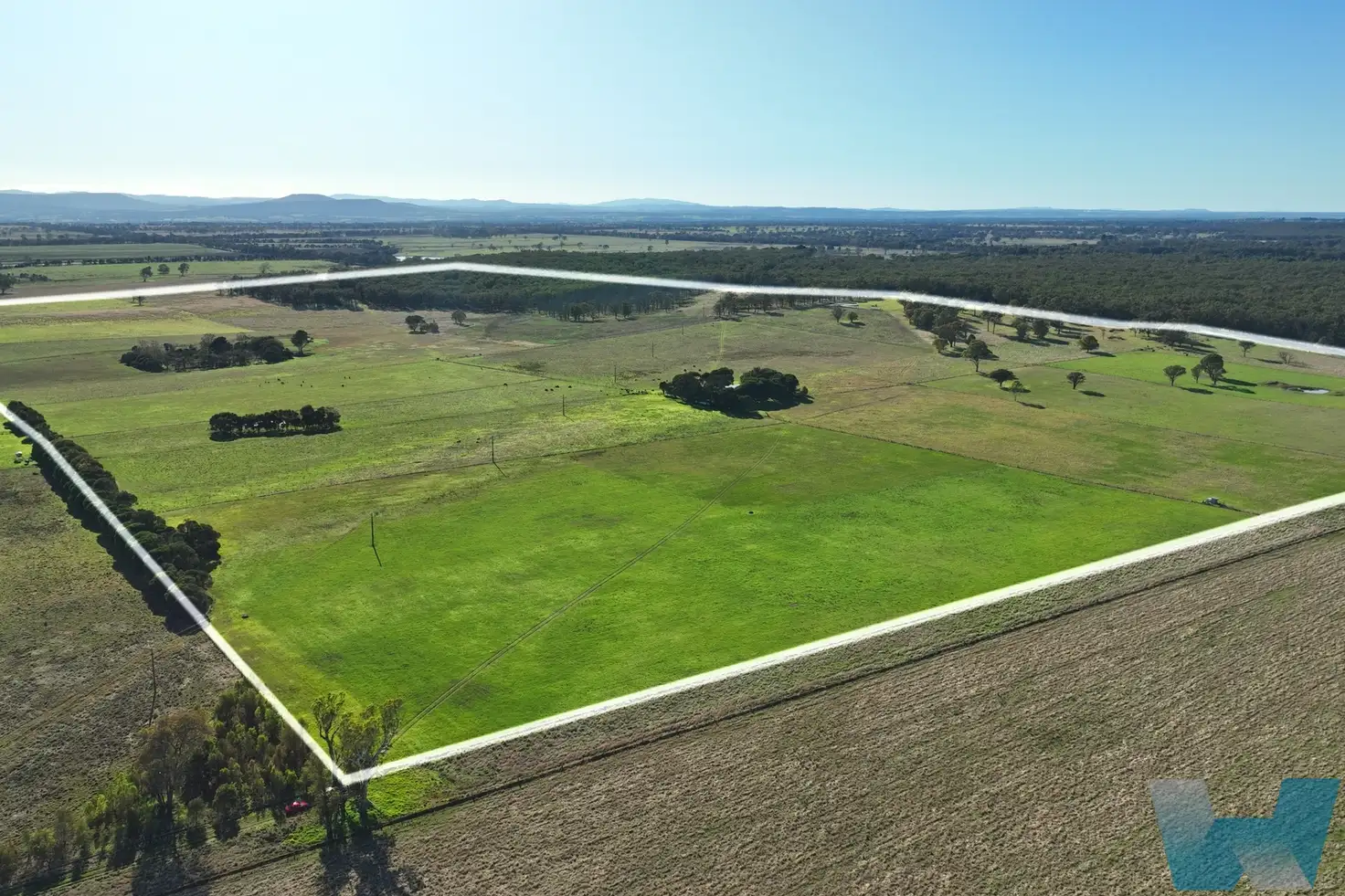 Main view of Homely rural property listing, 175 Robbins Road, Lindenow South VIC 3875