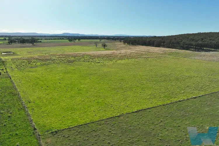 Seventh view of Homely rural property listing, 175 Robbins Road, Lindenow South VIC 3875