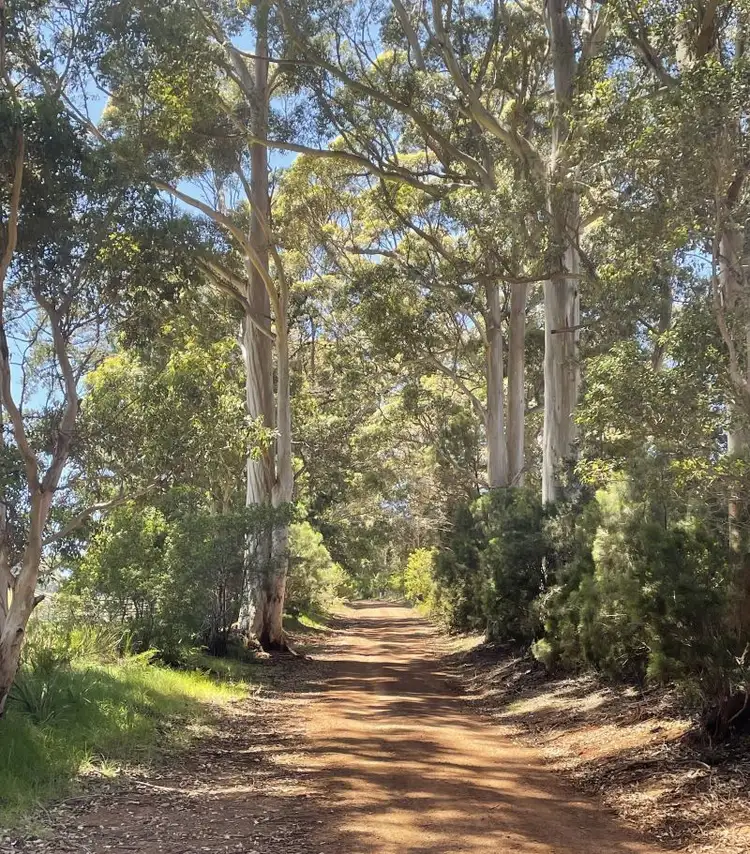 Third view of Homely rural property listing, 254 Silver Road, Scotsdale WA 6333