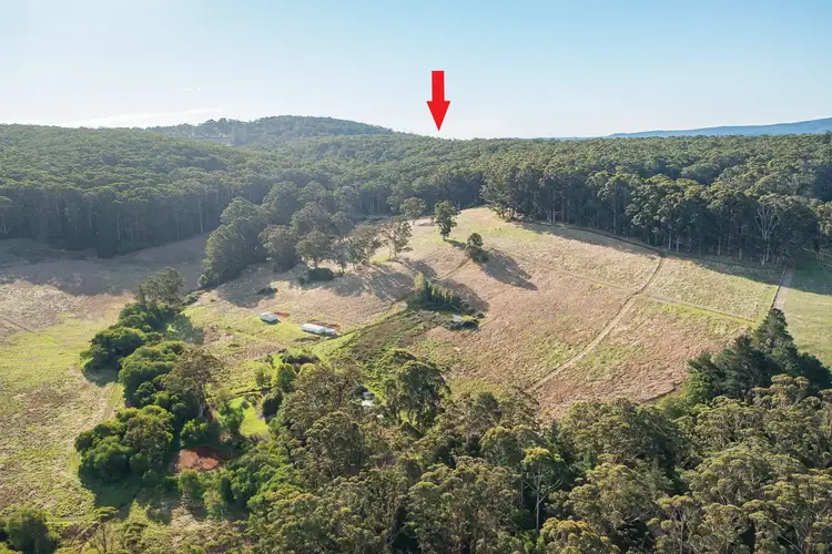 Fourth view of Homely rural property listing, 254 Silver Road, Scotsdale WA 6333