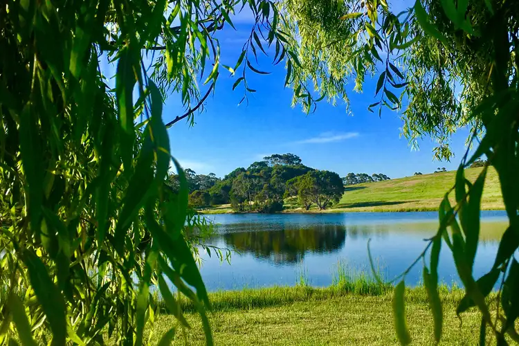 Main view of Homely rural property listing, 289 Boorara Road, Northcliffe WA 6262
