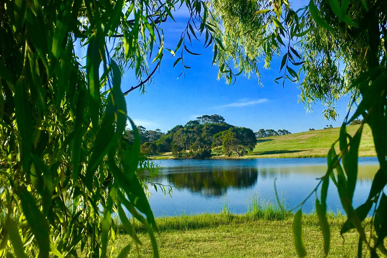 Main view of Homely rural property listing, 289 Boorara Road, Northcliffe WA 6262