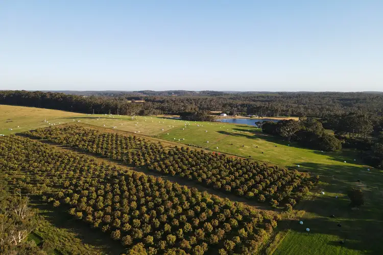 Third view of Homely rural property listing, 289 Boorara Road, Northcliffe WA 6262