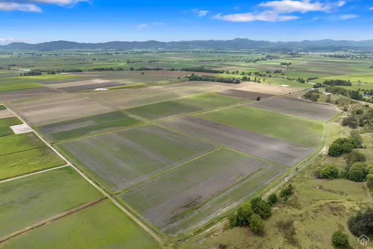 Fifth view of Homely land listing, 193 Dulguigan Road, Dulguigan NSW 2484