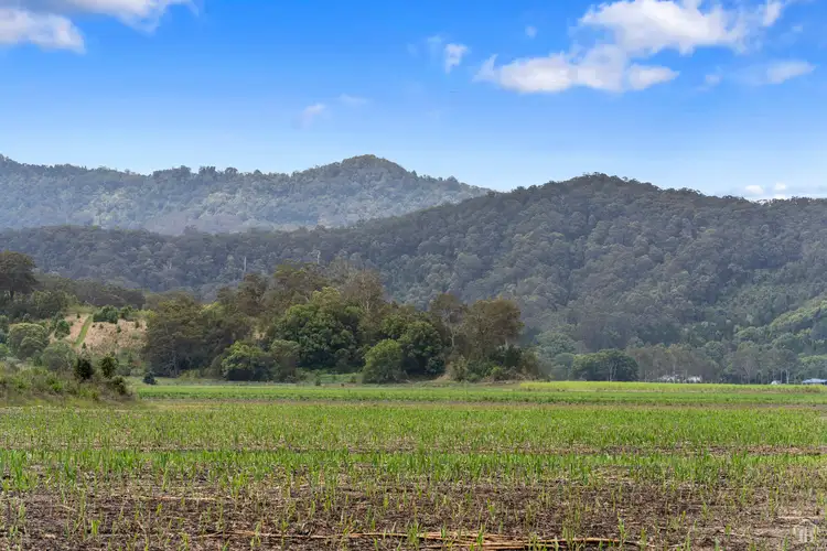 Sixth view of Homely land listing, 193 Dulguigan Road, Dulguigan NSW 2484