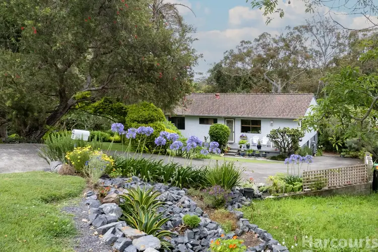 Main view of Homely house listing, 13 Elizabeth Street, South West Rocks NSW 2431