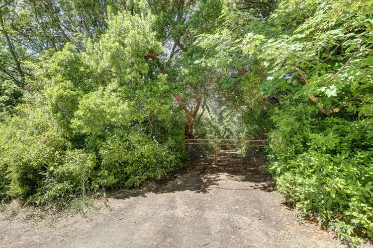 Sixth view of Homely house listing, 11 Cox Creek Road, Crafers SA 5152
