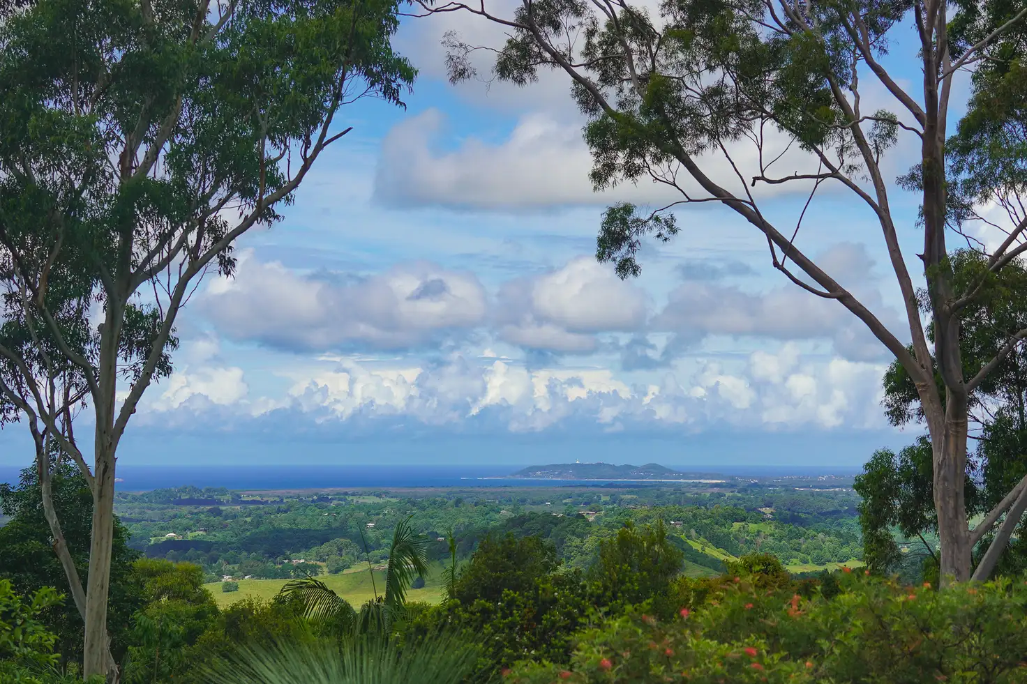 Main view of Homely house listing, 1109 Coolamon Scenic Drive, Montecollum NSW 2482