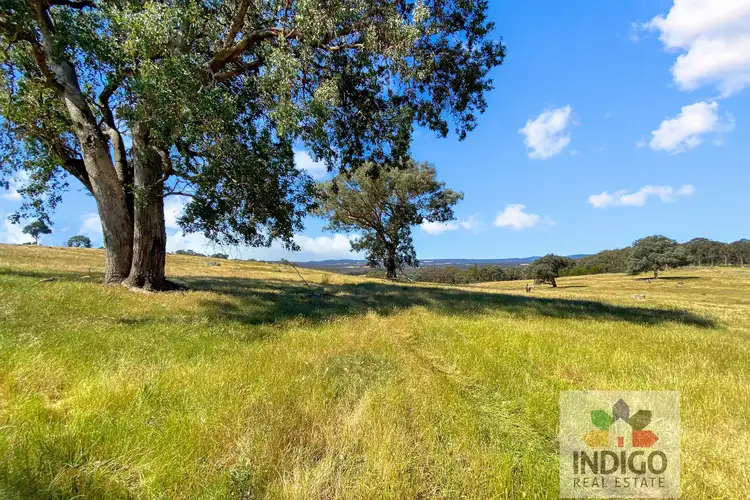 Fourth view of Homely rural property listing, 181 Mcfeeters Road, Beechworth VIC 3747