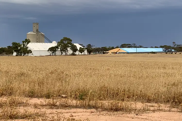 Fourth view of Homely rural property listing, LOT 13 Tolley Road, Doodlakine WA 6411