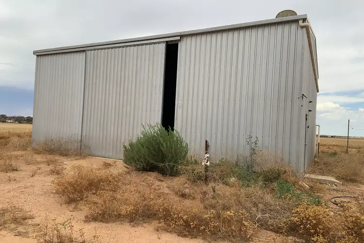 Seventh view of Homely rural property listing, LOT 13 Tolley Road, Doodlakine WA 6411
