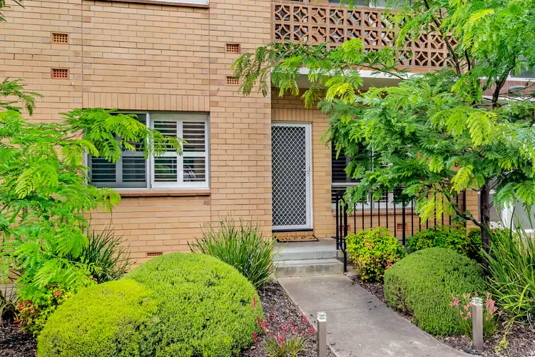 Main view of Homely unit listing, 3/88 Hewitt Avenue, Toorak Gardens SA 5065