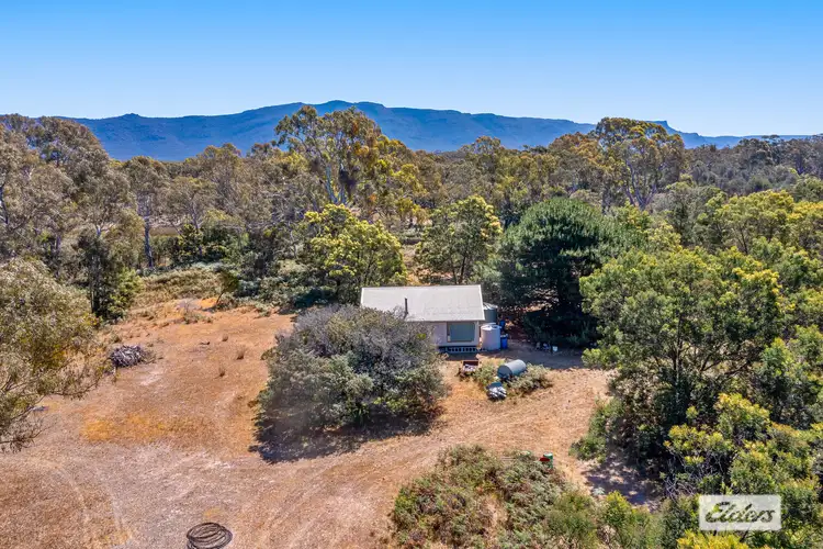 Main view of Homely rural property listing, 239 Scarsis Road, Mount Dryden VIC 3381