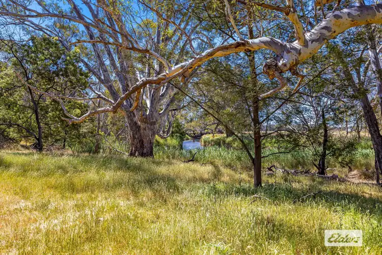 Seventh view of Homely rural property listing, 239 Scarsis Road, Mount Dryden VIC 3381