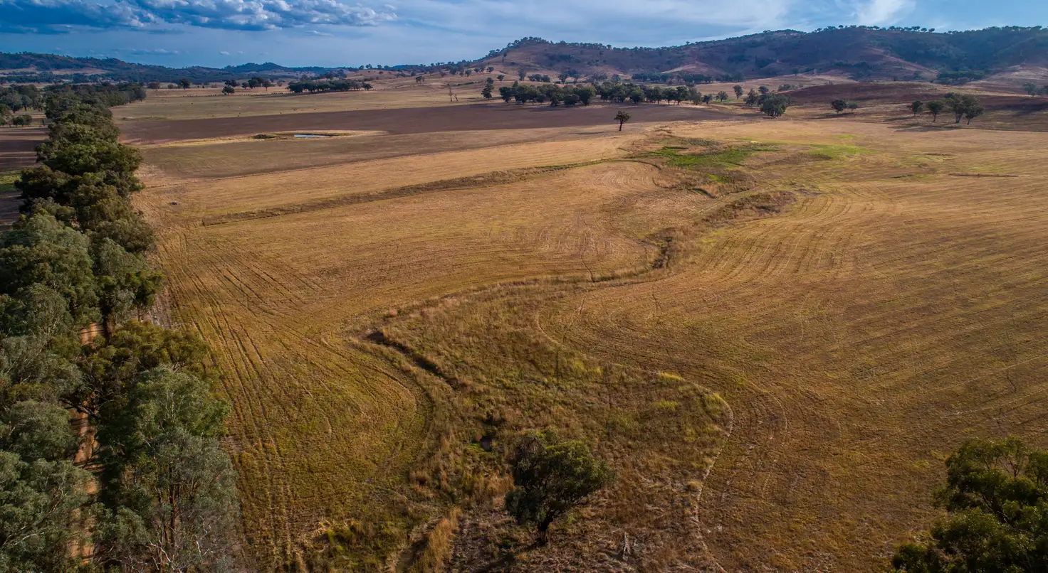 Main view of Homely rural property listing, 366 Erudgeree Lane, Erudgere NSW 2850