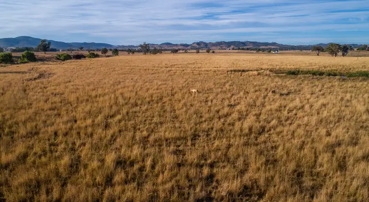 Second view of Homely rural property listing, 366 Erudgeree Lane, Erudgere NSW 2850