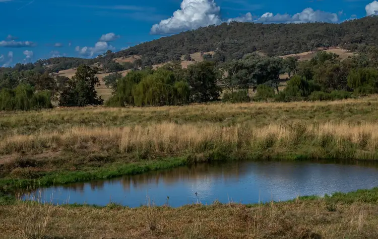 Third view of Homely rural property listing, 366 Erudgeree Lane, Erudgere NSW 2850