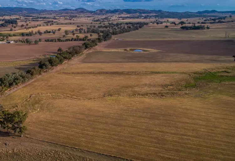 Fourth view of Homely rural property listing, 366 Erudgeree Lane, Erudgere NSW 2850