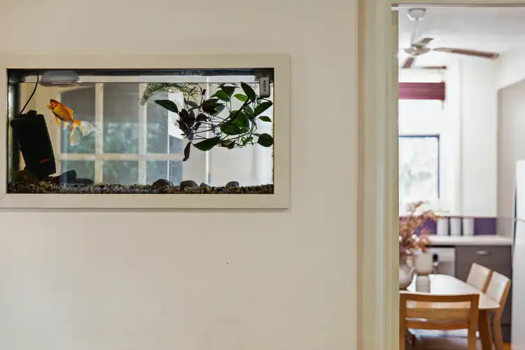 Fifth view of Homely house listing, 10 McDonald Avenue, Blackwood SA 5051