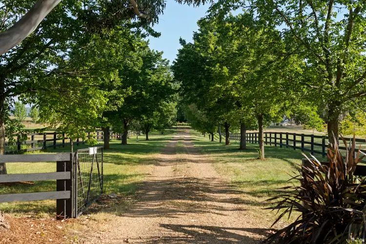 Second view of Homely rural property listing, Ruffy Road, Ruffy VIC 3666