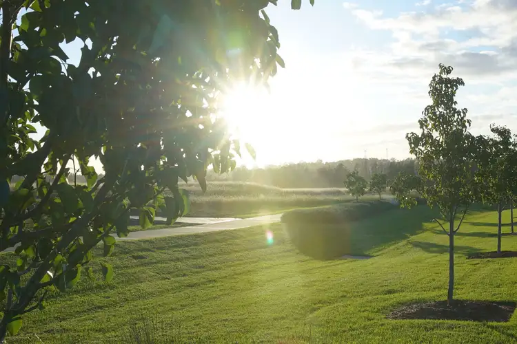 Fifth view of Homely house listing, Lot 903 Somervaille Drive, Catherine Field NSW 2557