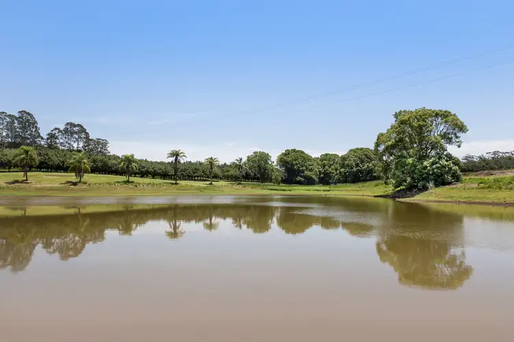 Second view of Homely rural property listing, 177 Humpty Back Road, Mcleans Ridges NSW 2480