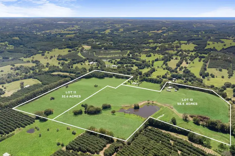 Sixth view of Homely rural property listing, 177 Humpty Back Road, Mcleans Ridges NSW 2480