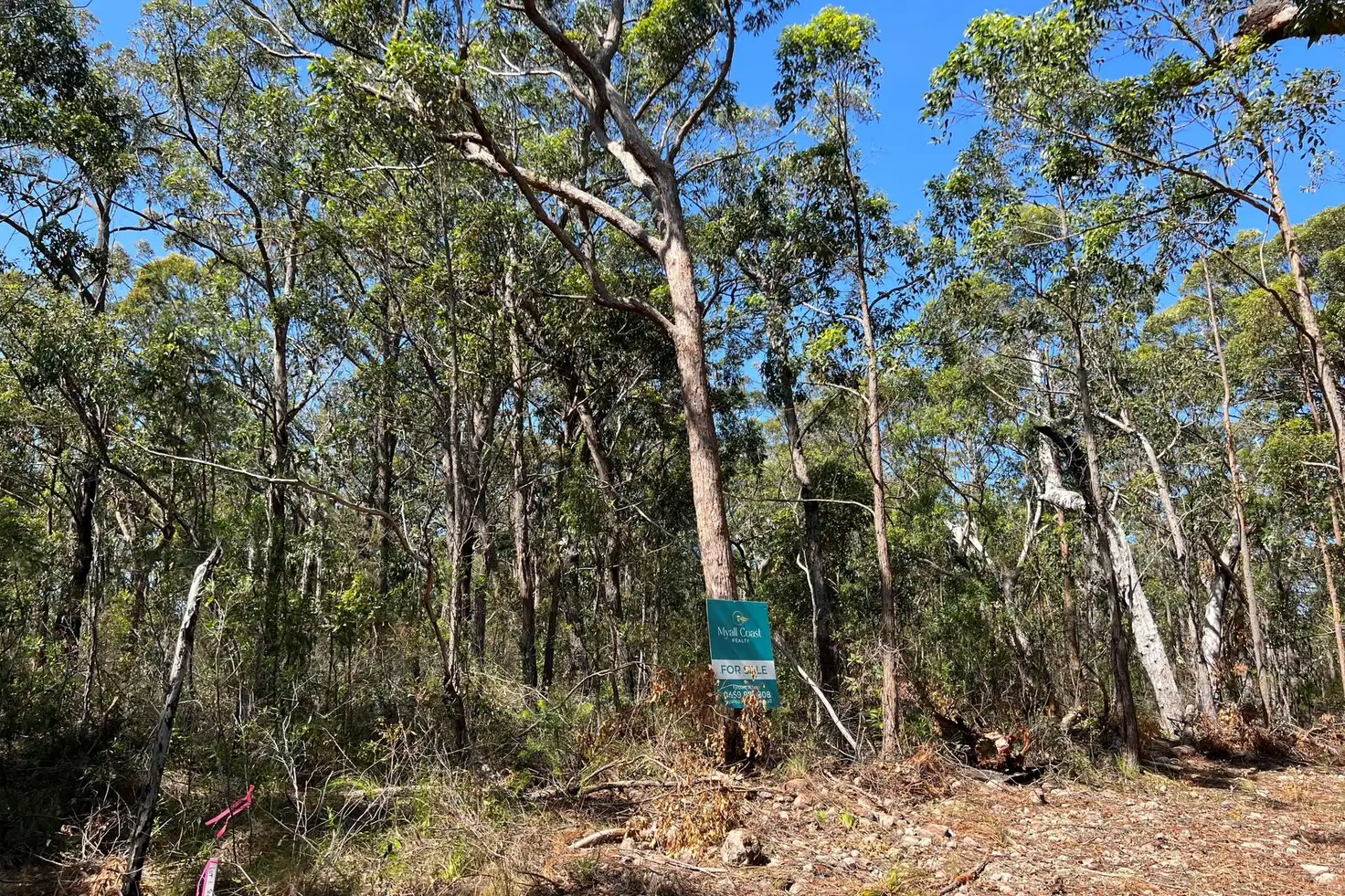 Main view of Homely land listing, LOT 2 Cachalot Street, Pindimar NSW 2324