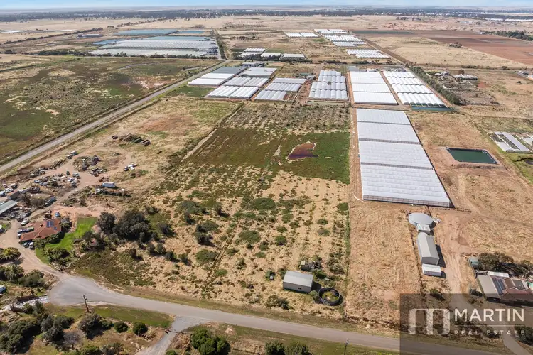 Fifth view of Homely rural property listing, LOT 11 Nemesis Court, Buckland Park SA 5120