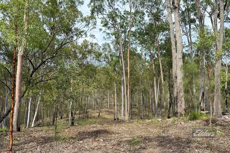 139 Spring Creek Road, Munna Creek QLD 4570