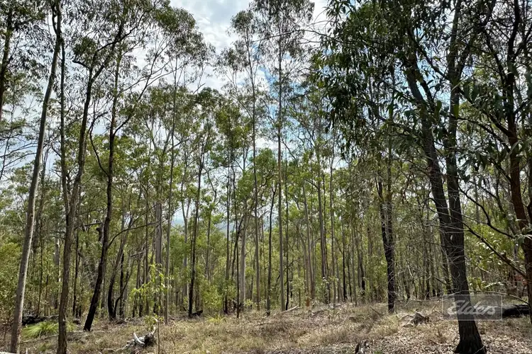 Fifth view of Homely land listing, 139 Spring Creek Road, Munna Creek QLD 4570