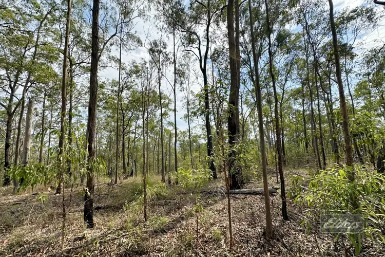 Sixth view of Homely land listing, 139 Spring Creek Road, Munna Creek QLD 4570