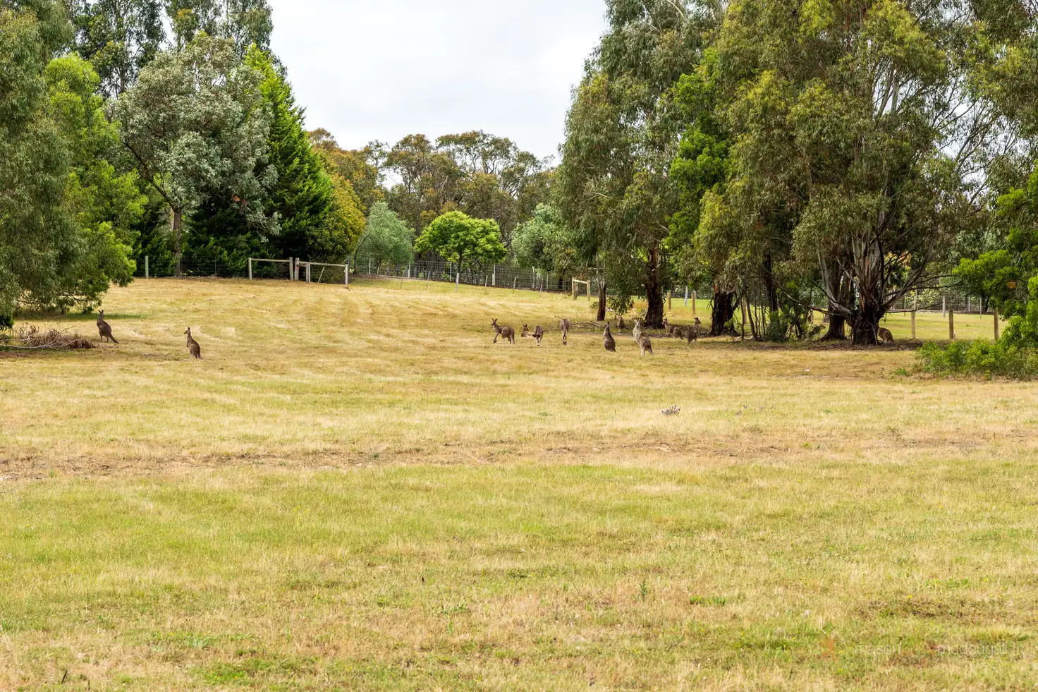 Main view of Homely land listing, 8 Quinn Close, Whittlesea VIC 3757