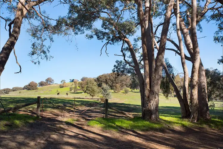 119 Lemon Tree Lane, Sedgwick VIC 3551