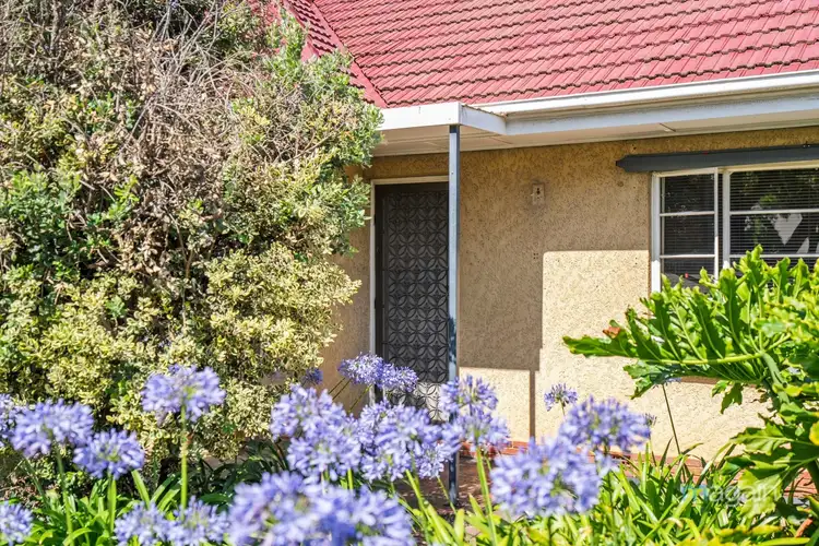 Third view of Homely house listing, 14 Jervois Avenue, West Hindmarsh SA 5007