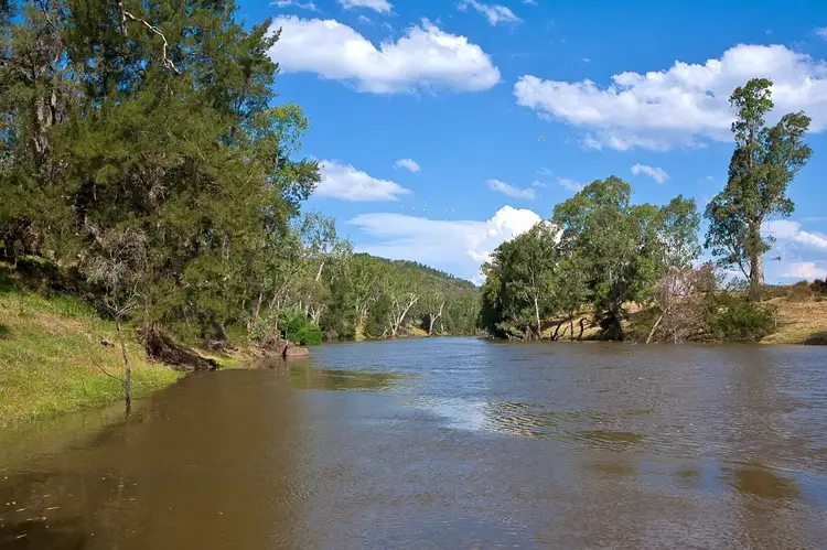 Main view of Homely rural property listing, 502 Gilgoan Road, Wellington NSW 2820
