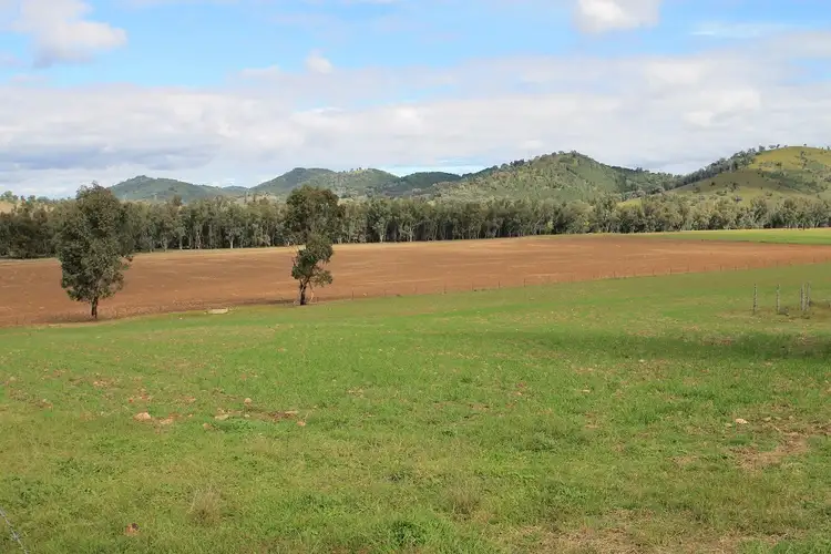 Fourth view of Homely rural property listing, 502 Gilgoan Road, Wellington NSW 2820