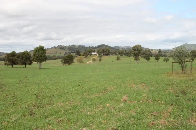 Fifth view of Homely rural property listing, 502 Gilgoan Road, Wellington NSW 2820