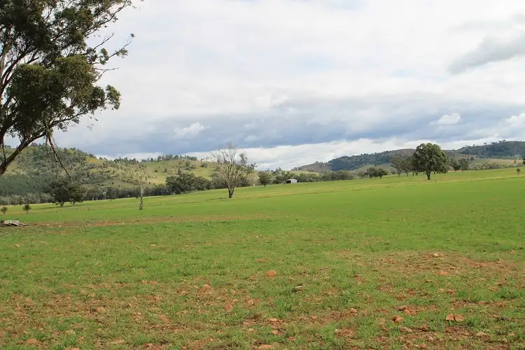 Sixth view of Homely rural property listing, 502 Gilgoan Road, Wellington NSW 2820