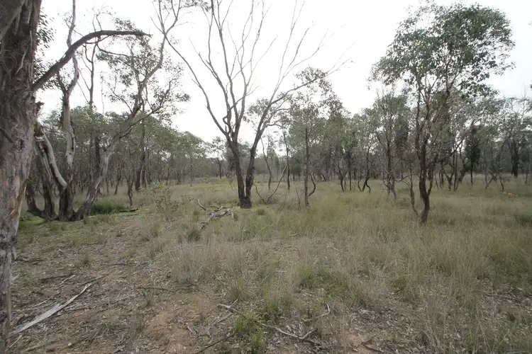 Second view of Homely rural property listing, 240 Cypress Drive, Mudgee NSW 2850