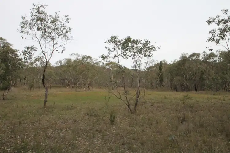 Fourth view of Homely rural property listing, 240 Cypress Drive, Mudgee NSW 2850