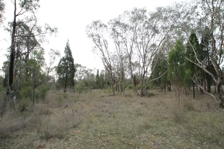 Fifth view of Homely rural property listing, 240 Cypress Drive, Mudgee NSW 2850