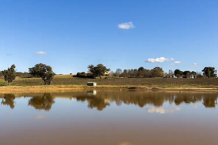 Fifth view of Homely rural property listing, Address available on request